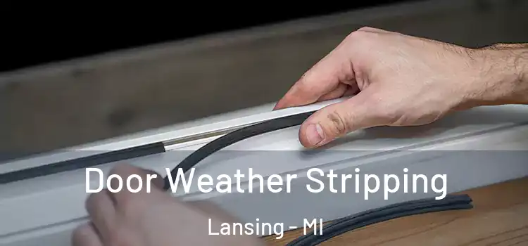 Door Weather Stripping Lansing - MI