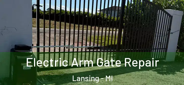  Electric Arm Gate Repair Lansing - MI
