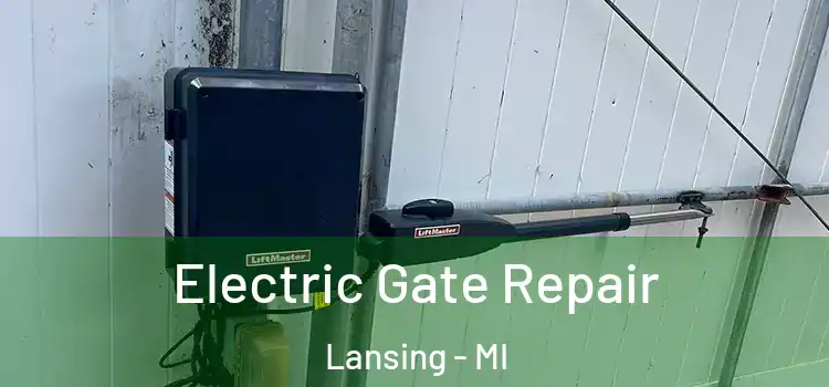 Electric Gate Repair Lansing - MI