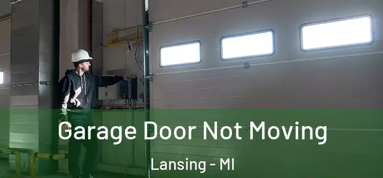  Garage Door Not Moving Lansing - MI