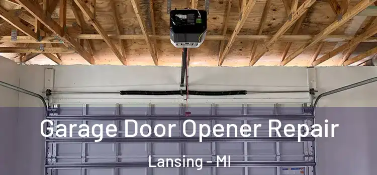  Garage Door Opener Repair Lansing - MI