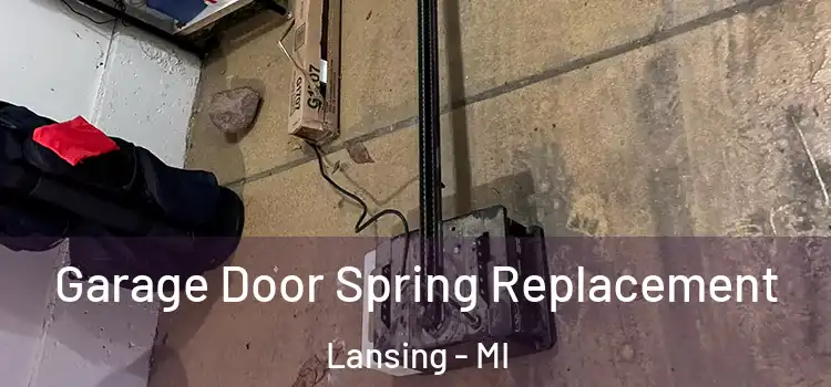  Garage Door Spring Replacement Lansing - MI