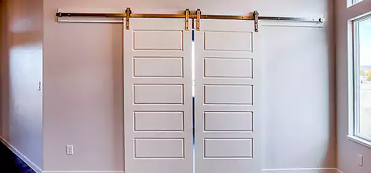 Glass Barn Door with Installation Hardware Kit Lansing