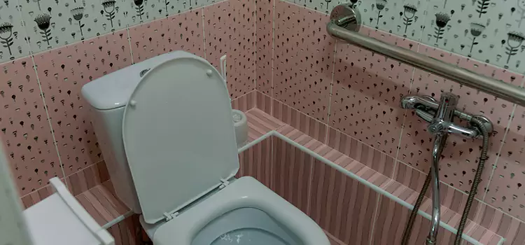 Meeting Diverse Needs With Accessible Restroom Solutions in Lansing, MI