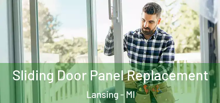  Sliding Door Panel Replacement Lansing - MI