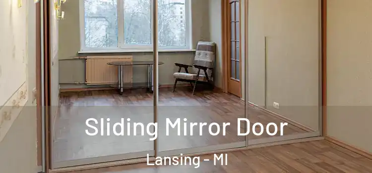  Sliding Mirror Door Lansing - MI